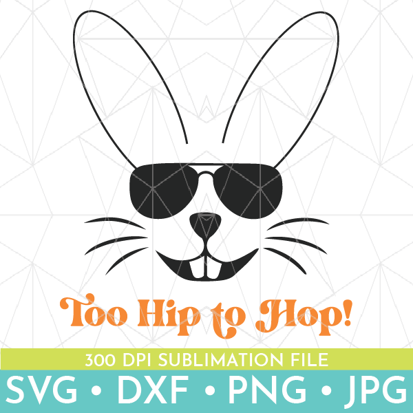 Too Hip to Hop