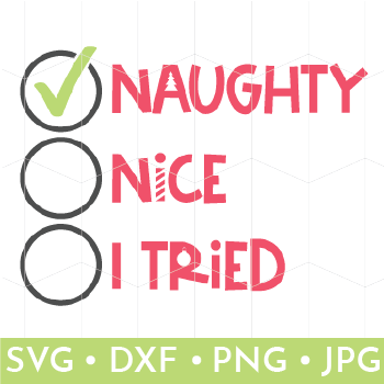 Naughty Nice I Tried