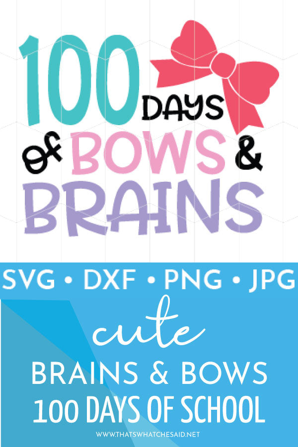 100 Days of Bows & Brains